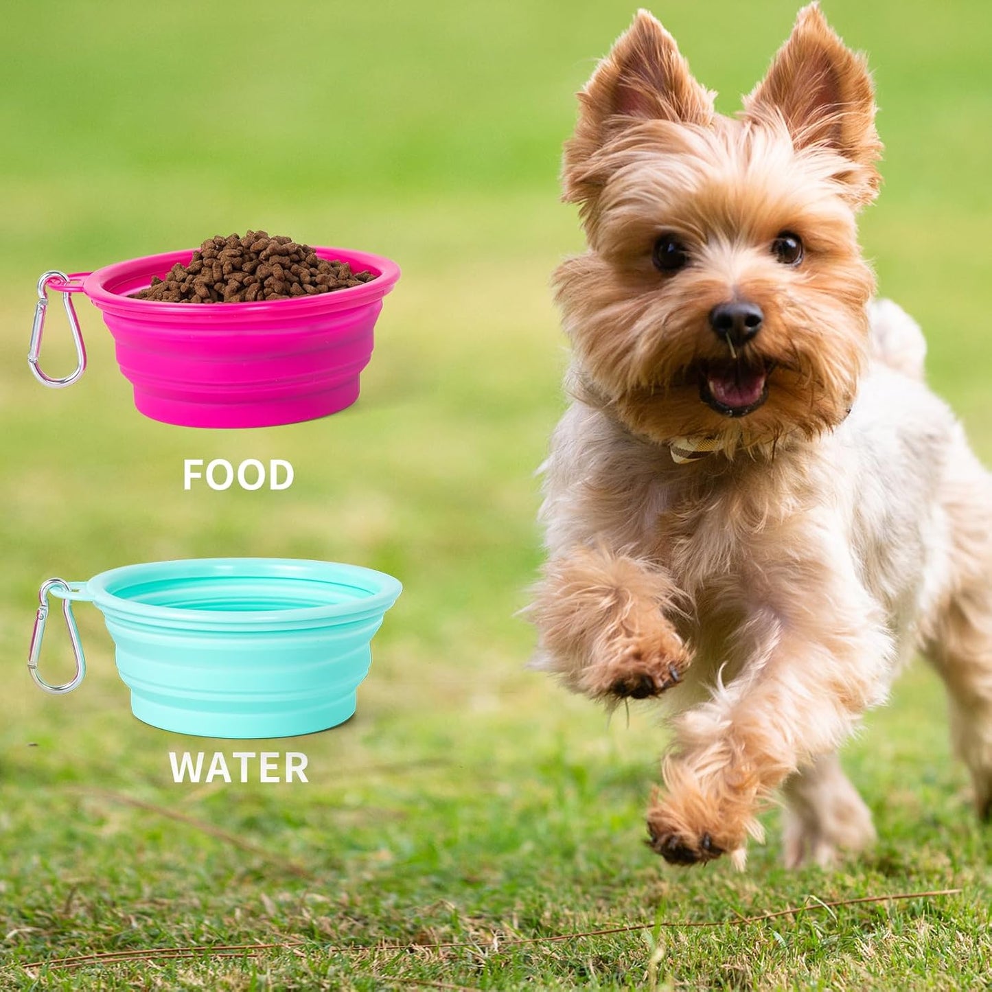 Collapsible Dog Bowl, 2Pack Macaron Color Pet Travel Bowls Silicone Foldable Water Feeder Dish for Small to Large Dogs Cat Walking Hiking Camping (Macaron Bright Pink and Bright Green, Small)