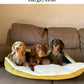 Orthopedic Burrow Bed for Anxious & Burrowing Pups