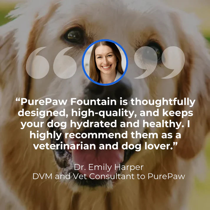 Health and Happiness Fountain Kit